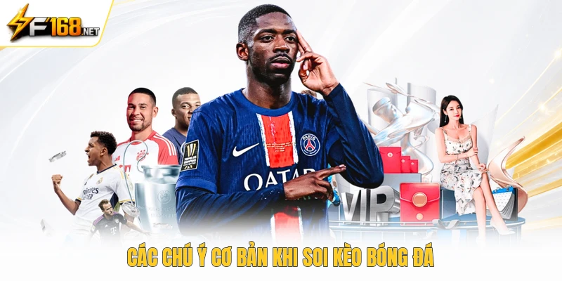 Các chú ý cơ bản khi soi kèo bóng đá