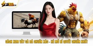 Cách Xem Vảy Gà Đá Chuẩn Xác