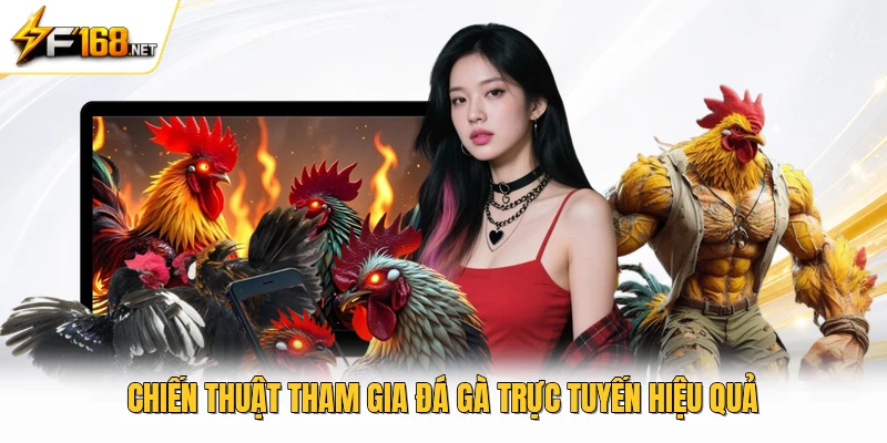 Chiến thuật tham gia đá gà trực tuyến hiệu quả