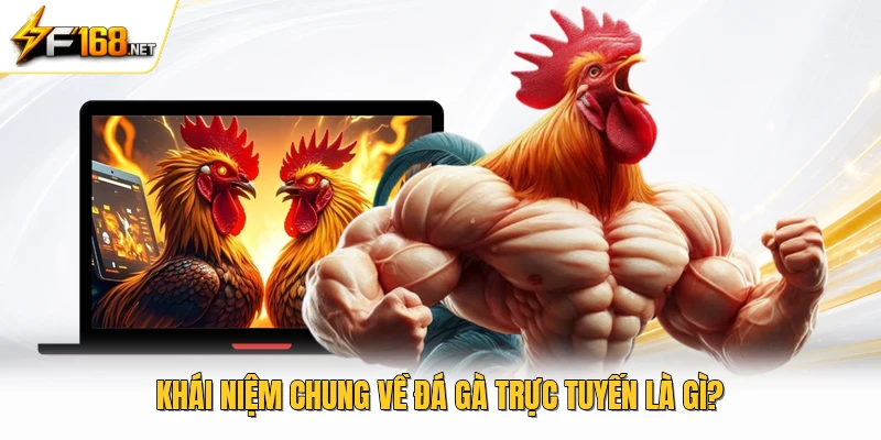 Khái niệm chung về đá gà trực tuyến là gì?