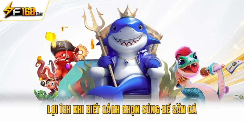 Lợi ích khi biết cách chọn súng để săn cá