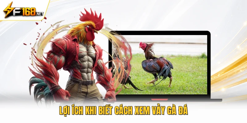 Lợi ích khi biết cách xem vảy gà đá