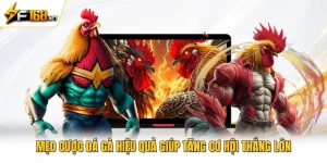 Mẹo Cược Đá Gà Hiệu Quả