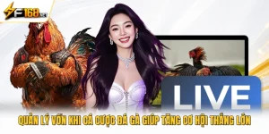 Quản Lý Vốn Khi Cá Cược Đá