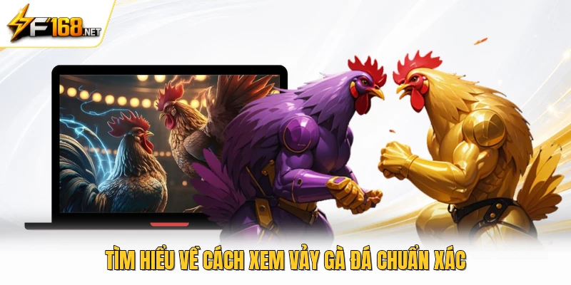Tìm hiểu về cách xem vảy gà đá chuẩn xác